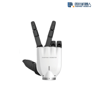 Rh5dg2 Dexterous Hands