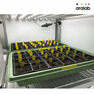 Fitoclima 600 1200 Plant Growth Chambers 3