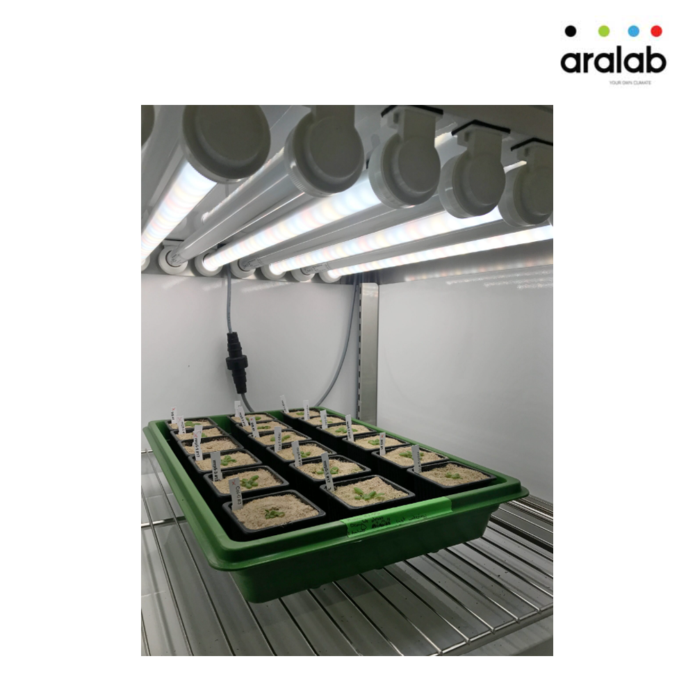 Fitoclima 600 1200 Plant Growth Chambers 4