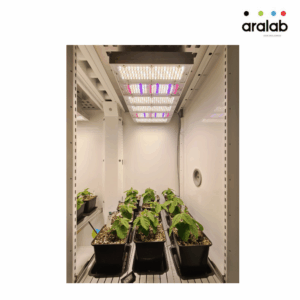 Fitoclima 600 1200 Plant Growth Chambers 5