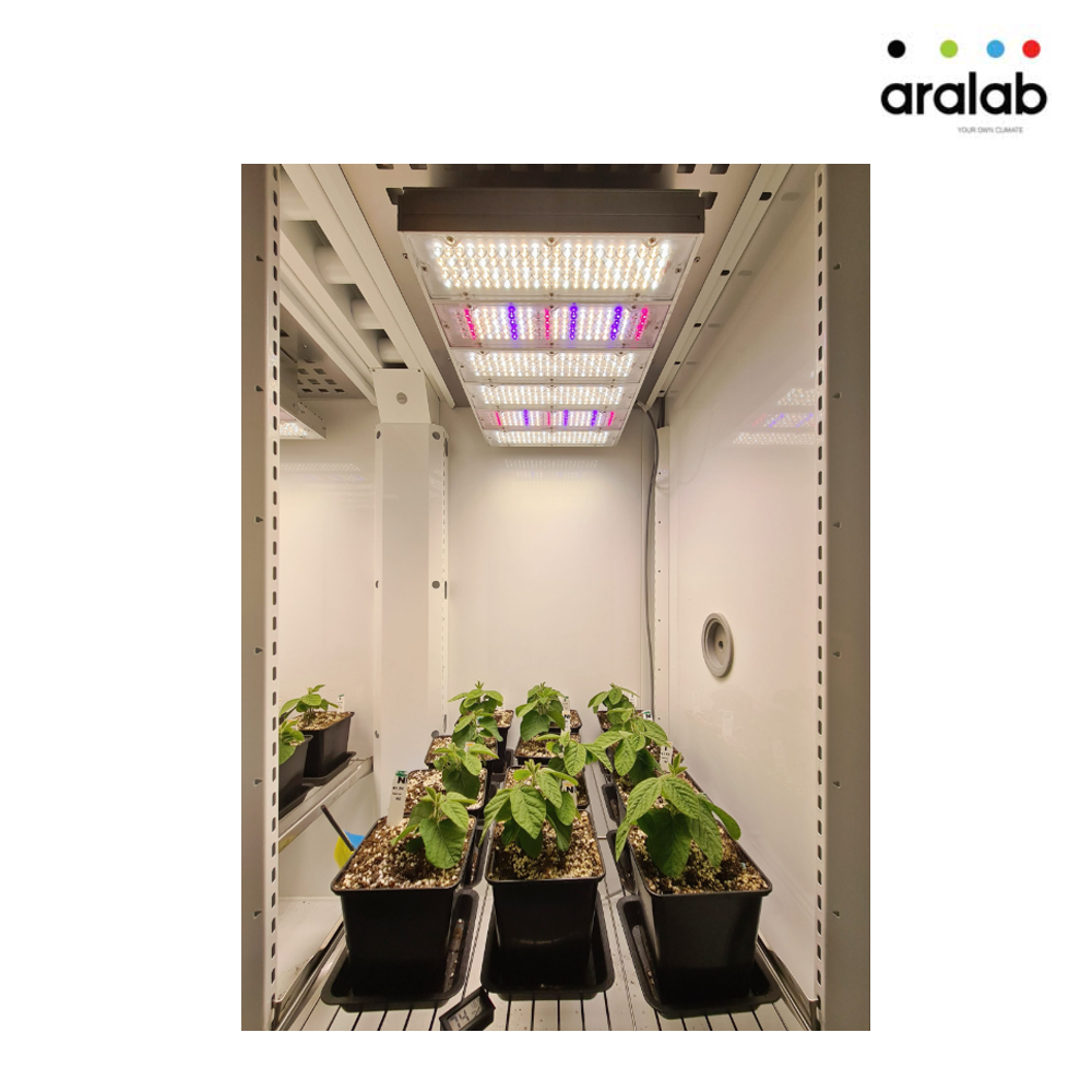 Fitoclima 600 1200 Plant Growth Chambers 5