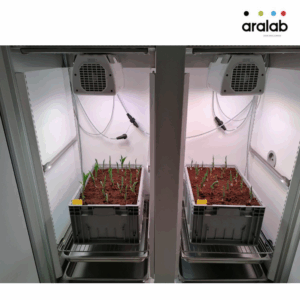 Fitoclima 600 1200 Plant Growth Chambers 6