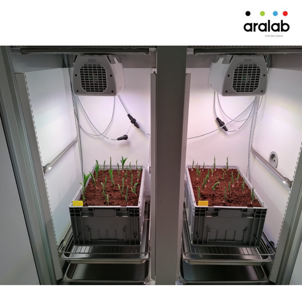 Fitoclima 600 1200 Plant Growth Chambers 6