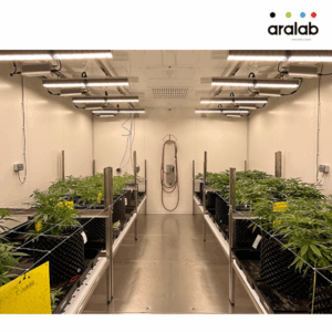 Fitoclima Growth Chambers Cannabis 1