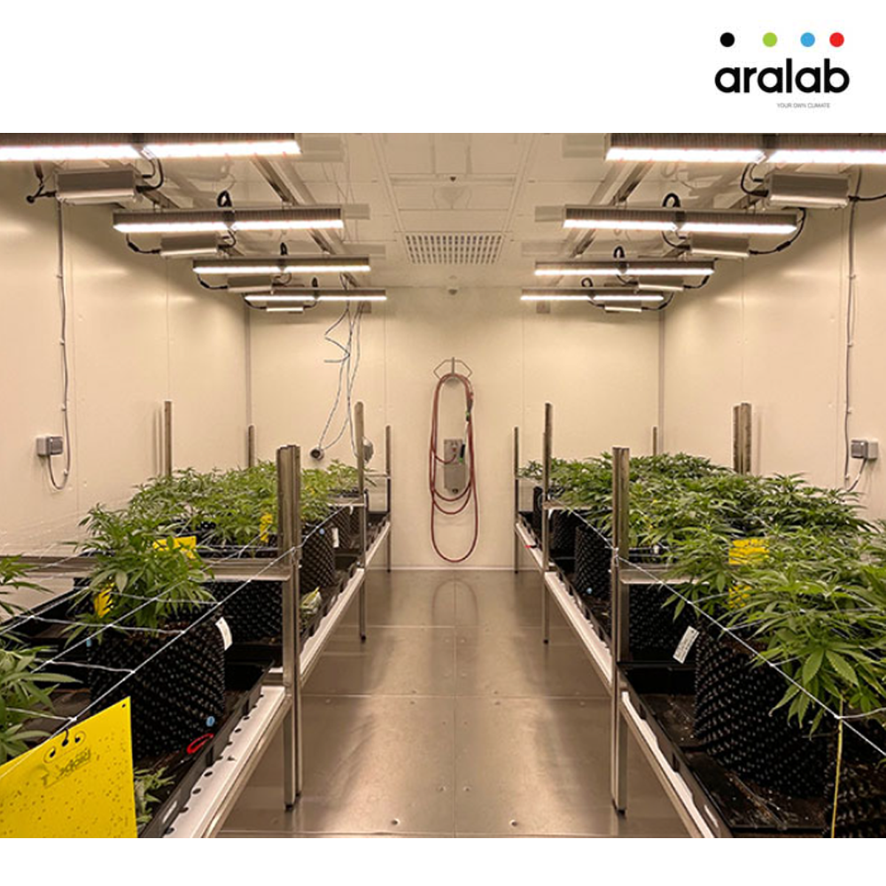 Fitoclima Growth Chambers Cannabis 1