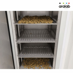 Fitoclima Growth Chambers Cannabis 3