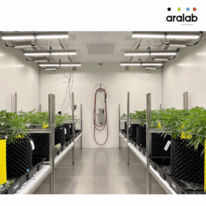 Fitoclima Hp Walk In Plant Growth Rooms 4