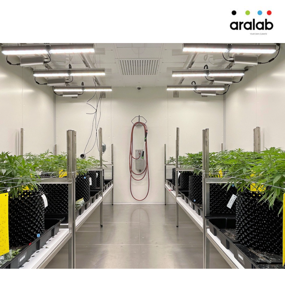 Fitoclima Hp Walk In Plant Growth Rooms 4