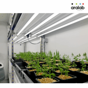 Fitoclima Plh Walk In Plant Growth Rooms 1