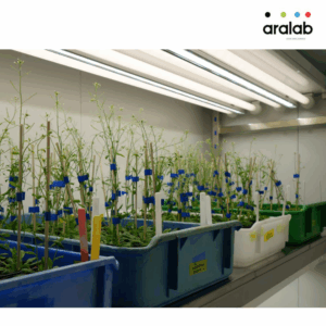 Fitoclima Plh Walk In Plant Growth Rooms 2