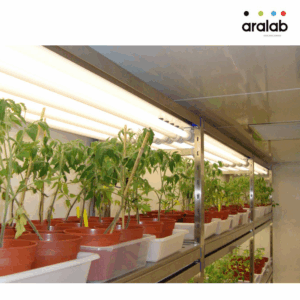 Fitoclima Plh Walk In Plant Growth Rooms 3