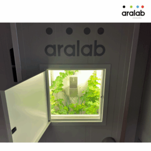 Fitoclima Plh Walk In Plant Growth Rooms 4