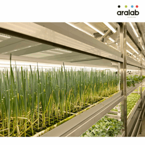 Fitoclima Production Rooms 2 3