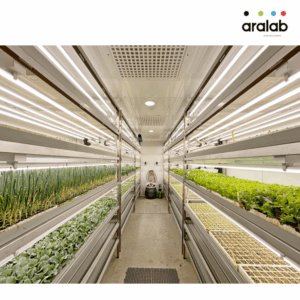 Fitoclima Production Rooms 2 4