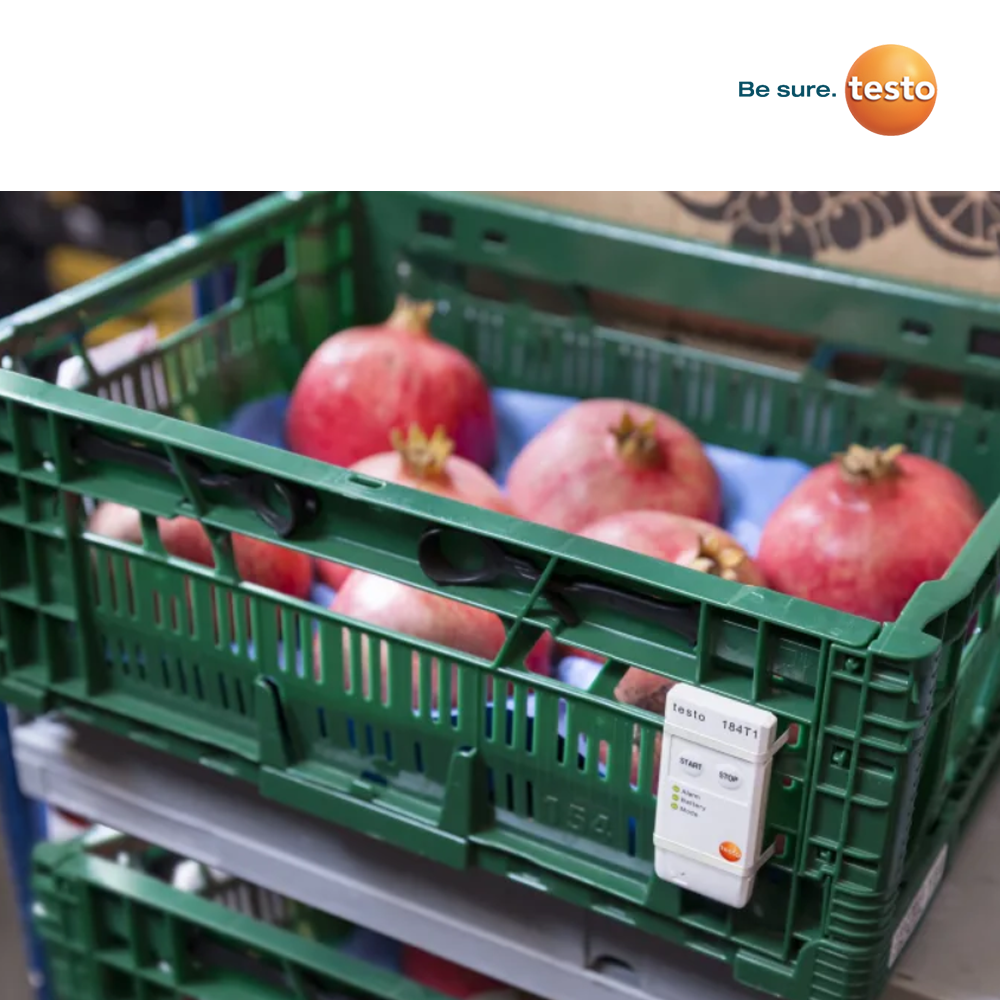 Testo 184 T1 Application Stationary Measurement