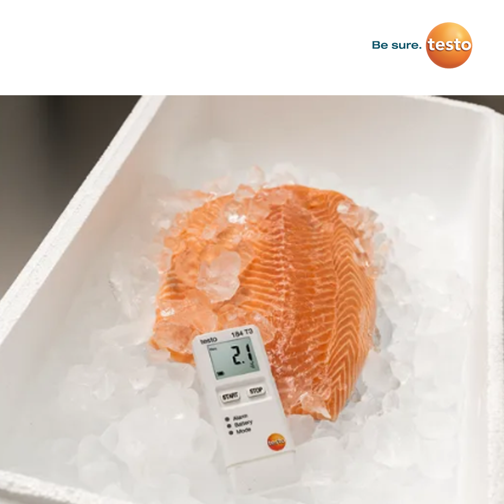 Testo 184 T3 Application 2