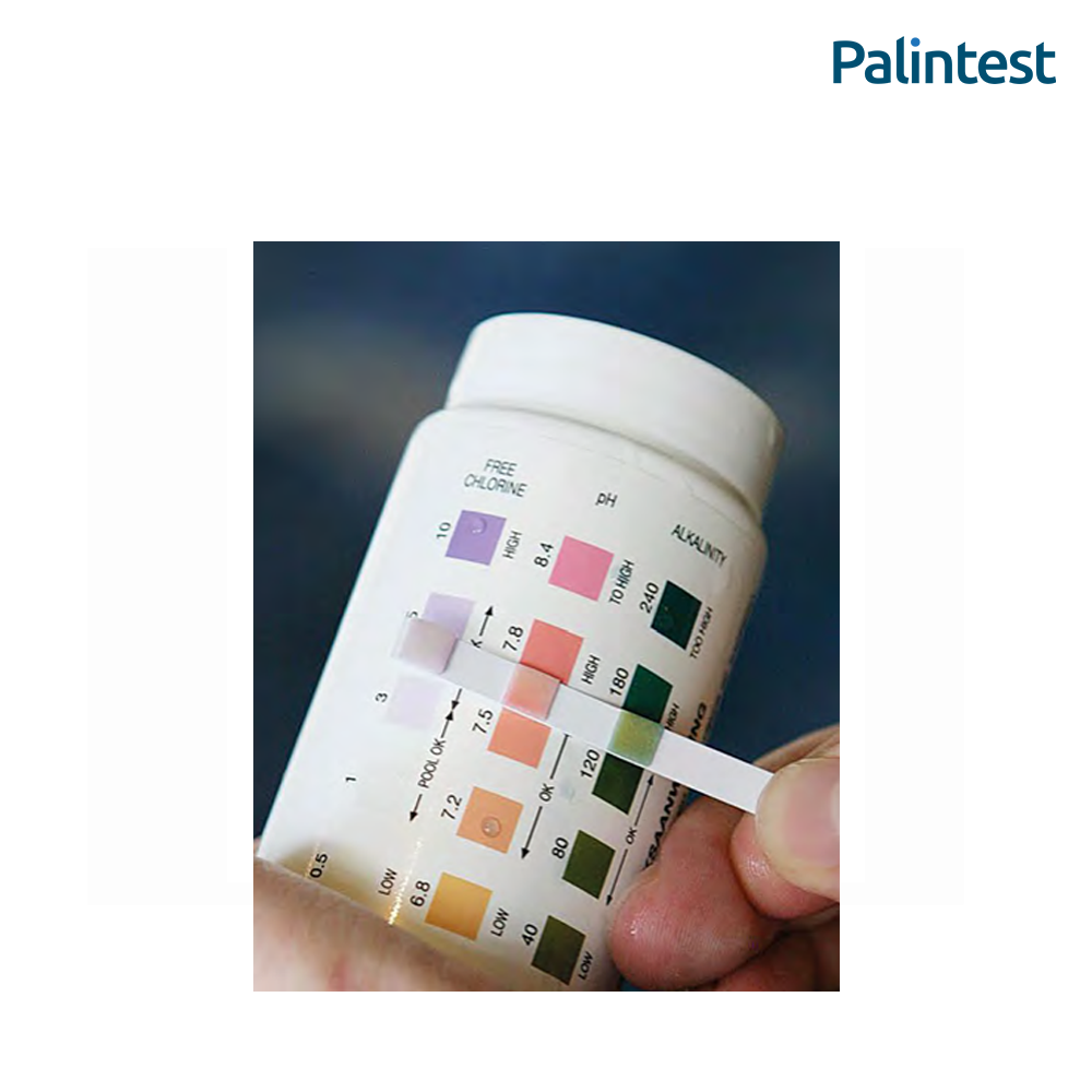 Pool Test Strips 1