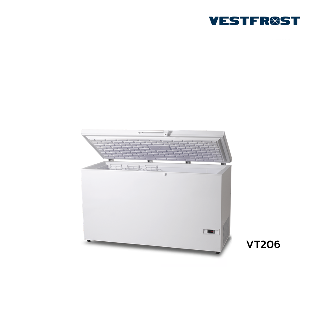 Vt306